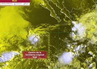 Tormenta tropical Bud: Esta es su trayectoria EN VIVO ¿Afectará a México?