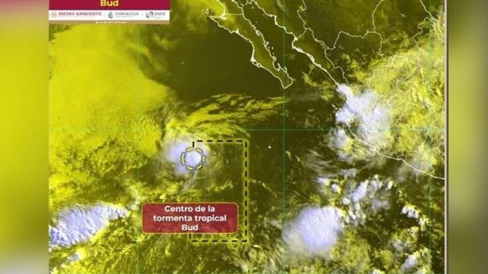 Tormenta tropical Bud: Esta es su trayectoria EN VIVO ¿Afectará a México? Tormenta tropical Bud: Esta es su trayectoria EN VIVO ¿Afectará a México?