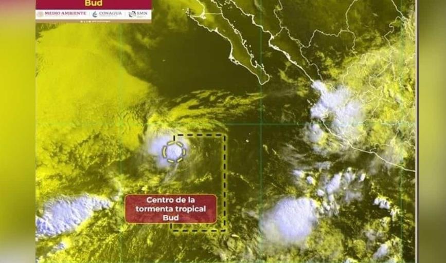 Tormenta tropical Bud: Esta es su trayectoria EN VIVO ¿Afectará a México?