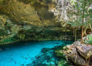 Vacaciones de Verano 2024: Estos son 5 cenotes que debes visitar en Yucatán