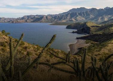 Cañón de las Barajitas: ¿Cómo llegar a este lugar donde el desierto y el mar se fusionan?