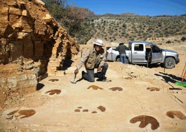 Invitan al Dino Fest en Esqueda, Sonora