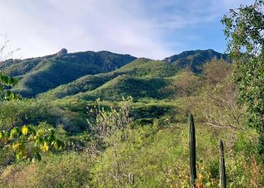 Parque La Colorada, te conecta con la naturaleza en el sur de Sonora  Parque La Colorada, te conecta con la naturaleza en el sur de Sonora