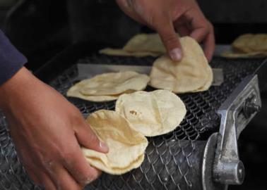 ¡Que no te engañen! Así puedes saber si las tortillas que vas a comprar son piratas