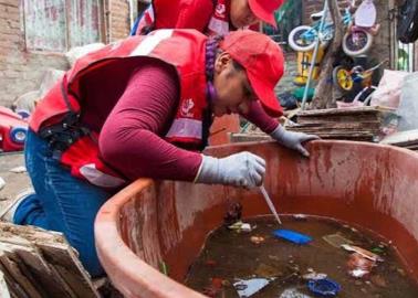 Secretaría de Salud de Sonora: ¿cuántos casos de dengue se han presentado en 2024?