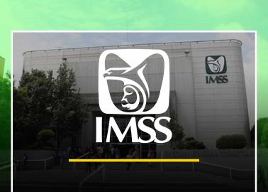 IMSS: Estos son los requisitos que te piden para darte de alta en 2024