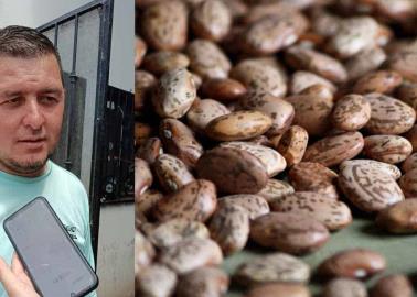 Productores distribuyen frijol pinto en la Central de Abastos de Ciudad Obregón