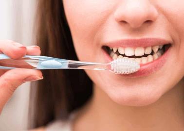 ¿Cada qué tanto tiempo se debe cambiar el cepillo de dientes? Esto dicen expertos