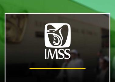 IMSS: Así puedes seguir cotizando si fuiste dado de baja como trabajador en 2024