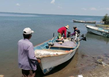 Migran pescadores por baja captura de jaiba