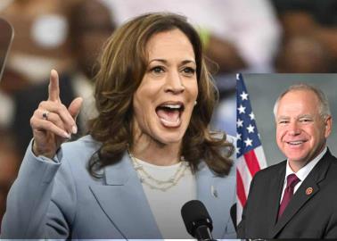 ¿Por qué Kamala Harris elige a Tim Walz como su vicepresidente en campaña? ¿Por qué Kamala Harris elige a Tim Walz como su vicepresidente en campaña?