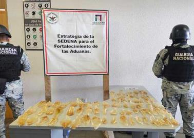 Guardia Nacional decomisa buches de Totoaba en Sonoyta