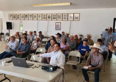 Conservan bagazo para alimentar el ganado en época de vacas flacas