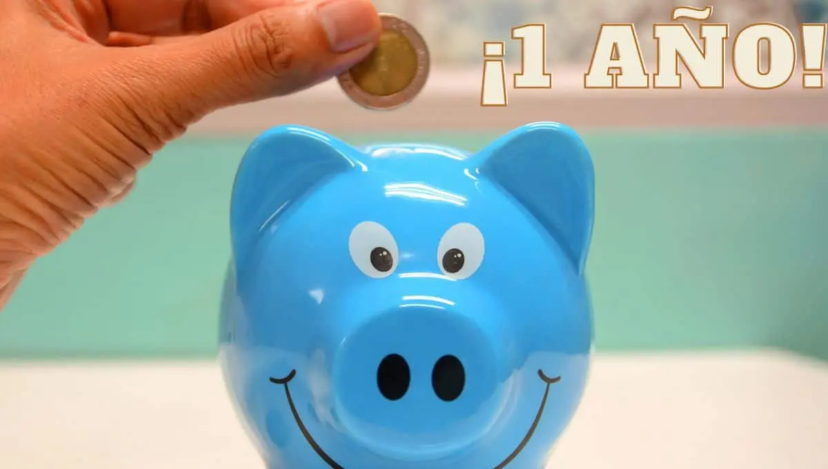 Así puedes ahorrar 100 mil pesos en un año | Pexels / PNGWING