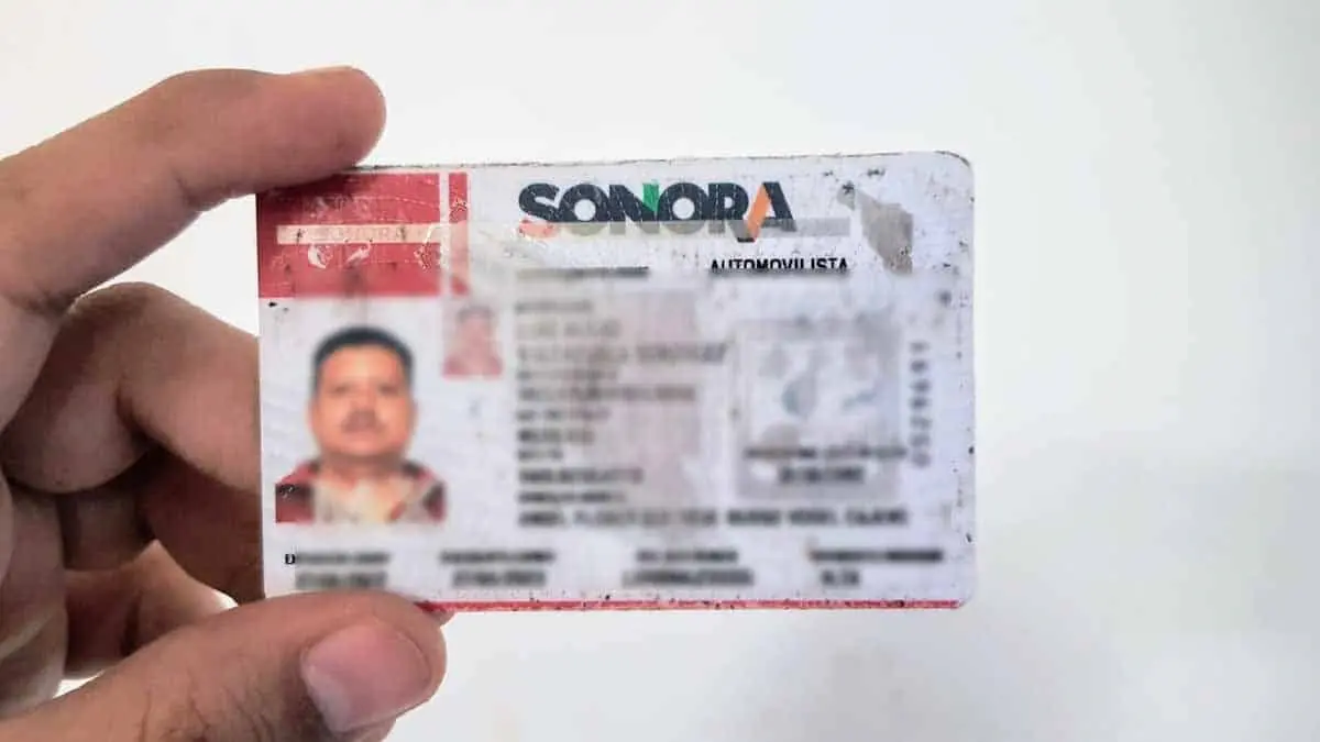 ¿Eres pensionado? Tienes este descuento al tramitar la licencia de conducir en Sonora