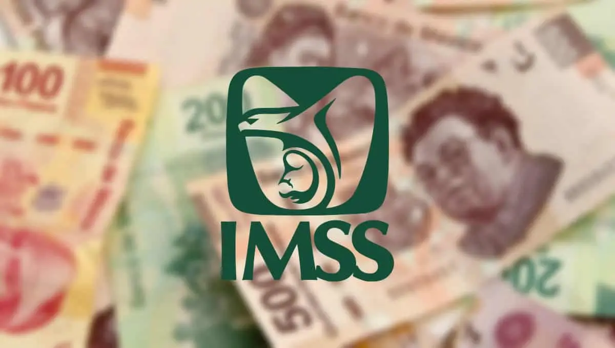 Pensión IMSS; requisitos y semanas cotizadas para pensionarte bajo la Ley 73