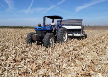 Advierte sobre infertilidad de suelos en el Valle del Yaqui