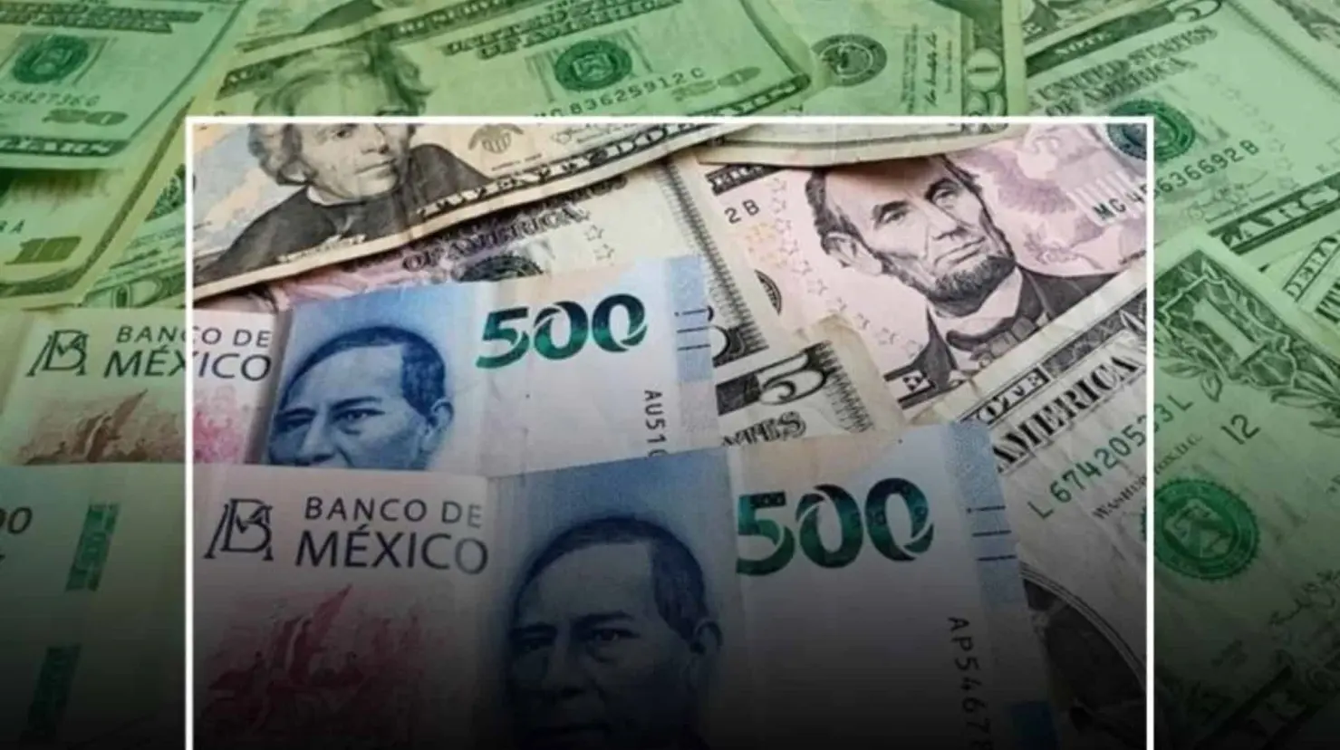 Precio del dólar hoy viernes 16 de agosto; este es su tipo de cambio