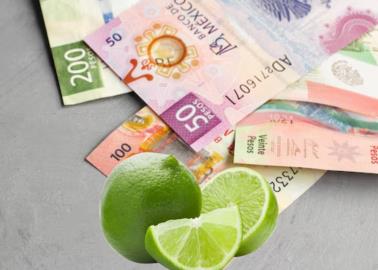 Precio del limón sube en estos estados; conoce sus nuevos costos