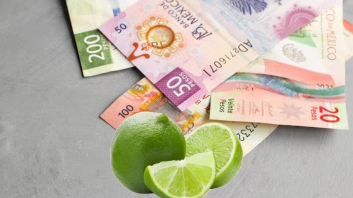 Precio del limón sube en estos estados; conoce sus nuevos costos Precio del limón sube en estos estados; conoce sus nuevos costos