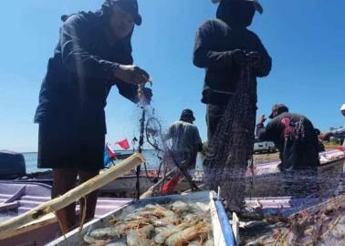 Pescadores del Sur de Sonora buscan que se adelante la temporada de camarón