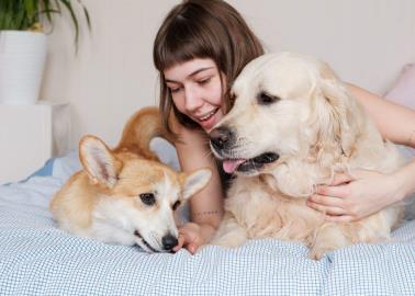 Los perros mejoran la salud mental femenina, revela estudio de Harvard