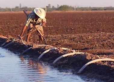 Desperdician agua en Valle del Yaqui