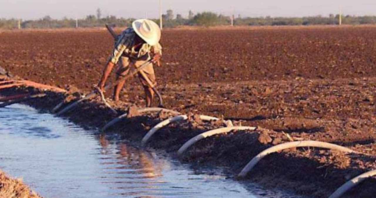 Desperdician agua en Valle del Yaqui