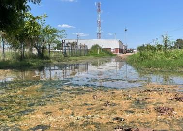 Residentes de la colonia Nueva Esperanza viven expuestos a enfermedades