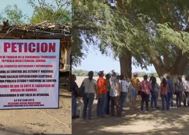 Van con todo en impugnación de regidor étnico de Etchojoa