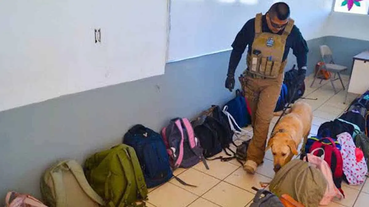 Arrancará programa Operación Sorpresa en Sonora