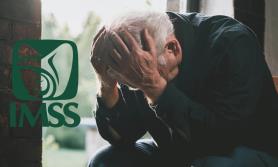 Pensión IMSS o ISSSTE: ¿Qué pensionados recibirán primero el pago del aguinaldo y por qué? Pensión IMSS o ISSSTE: ¿Qué pensionados recibirán primero el pago del aguinaldo y por qué?