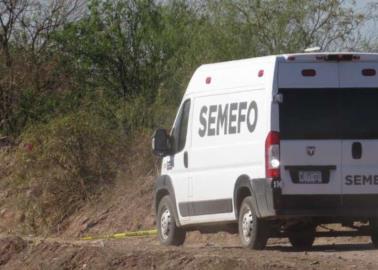 Identifican campamentos en operativo relacionado con el asesinato de ganadero en Querobabi