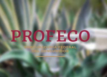 Profeco: Estos son los mejores mezcales para disfrutar en estas fiestas patrias 2024