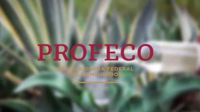 Profeco: Estos son los mejores mezcales para disfrutar en estas fiestas patrias 2024 Profeco: Estos son los mejores mezcales para disfrutar en estas fiestas patrias 2024