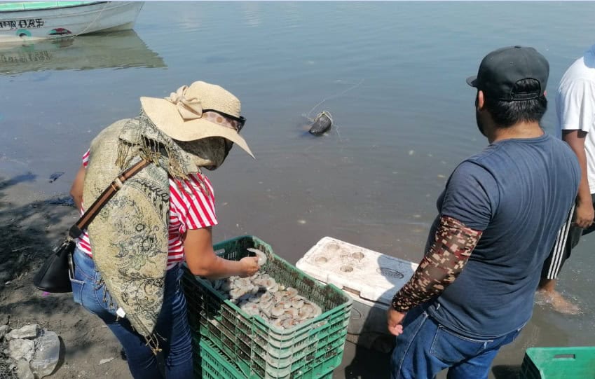 Pescadores de Yavaros rechazan fechas tardías para la veda del camarón