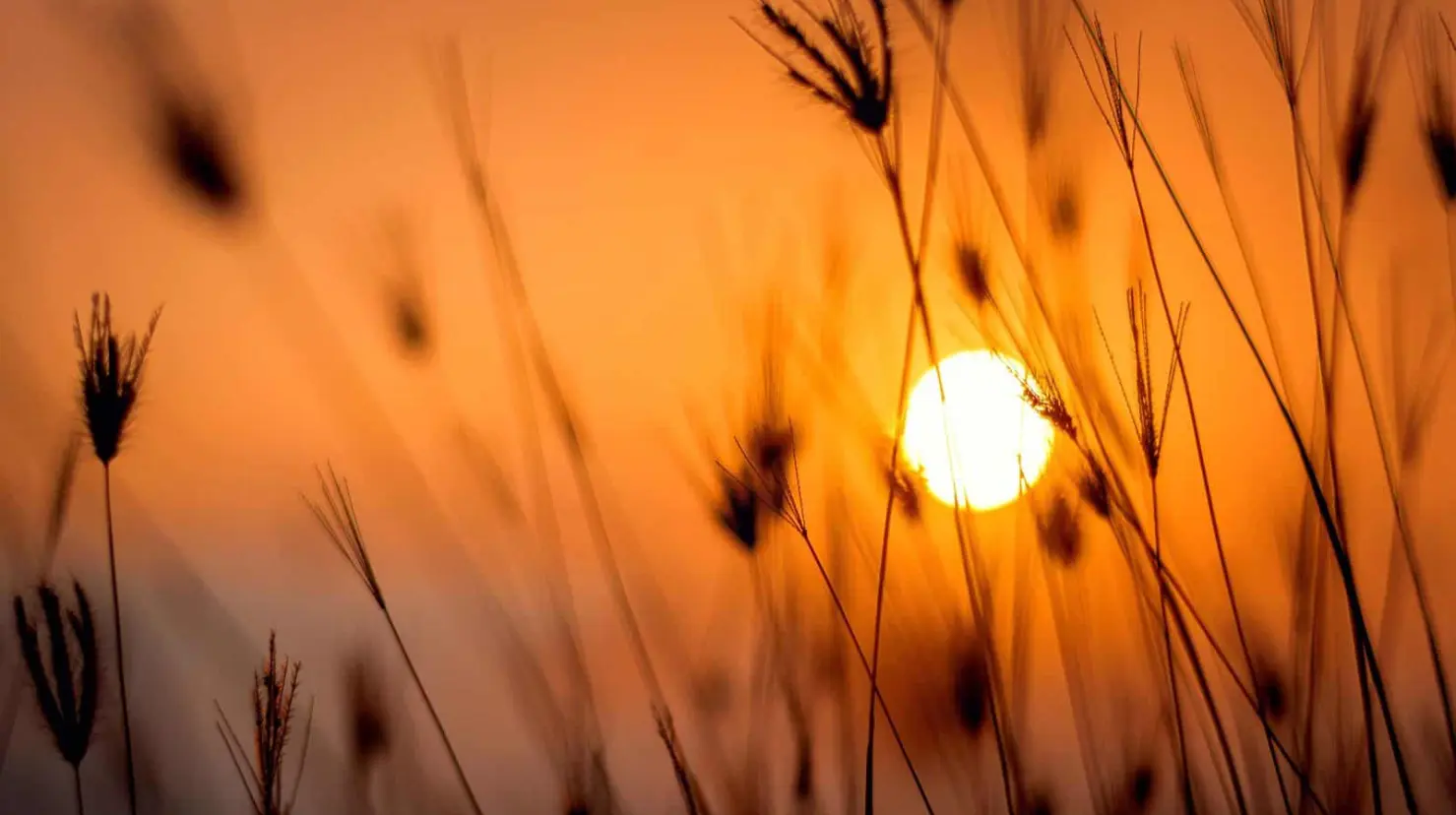 Clima en Hermosillo hoy 3 de septiembre: Día soleado y caluroso por encima de los 40°C