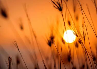 Clima en Hermosillo hoy 3 de septiembre: Día soleado y caluroso por encima de los 40°C