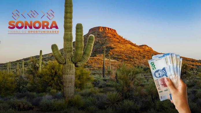 ¿En qué lugar está Sonora entre los estados más ricos de México? ¿En qué lugar está Sonora entre los estados más ricos de México?