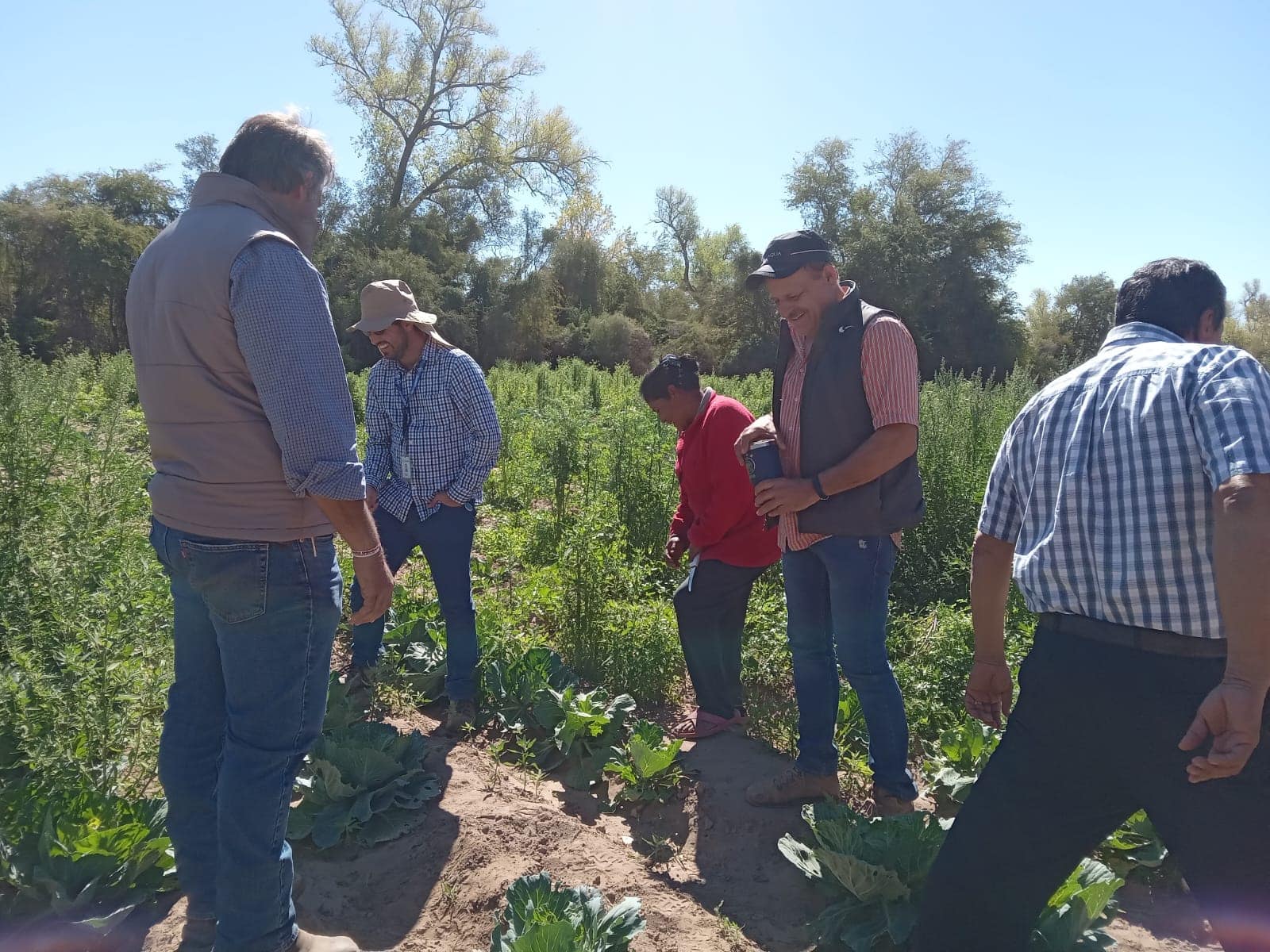 Familias de Cajeme conforman granja integral; producen hortalizas, peces y crían ganado