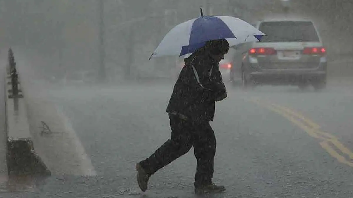 Frente frío 1 llega a México con heladas: 5 Estados que tendrán clima de 0 grados