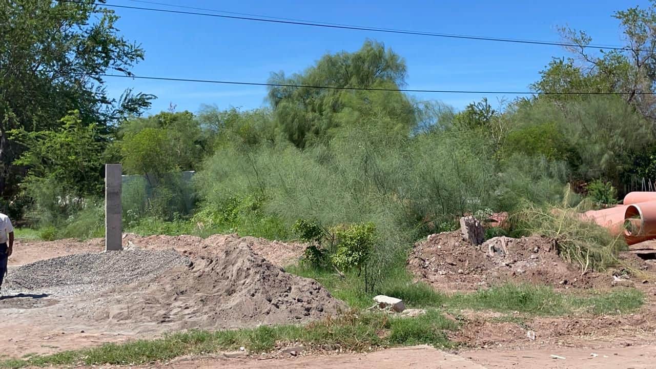 Piden limpieza de baldíos en Cajeme: fauna nociva entra a sus casas