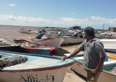 Veda del camarón: Pescadores piden más vigilancia a las autoridades para evitar pesca furtiva