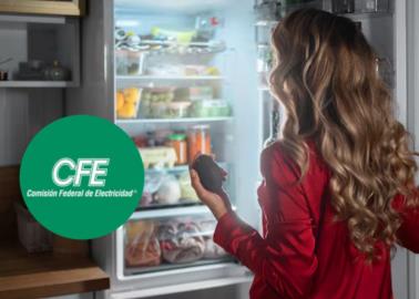 CFE: así puedes renovar tu refrigerador con ayuda de la comisión