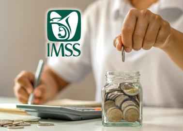 IMSS: ¿No aparecen tus semanas cotizadas? Esto es lo que tienes que hacer