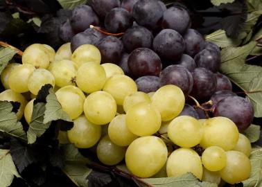 Esta es la fruta de temporada que llena de color el mes de septiembre y mejora tu salud