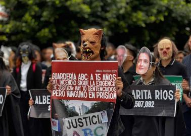 VIDEO | Jóvenes por la Reforma salen a las calles con máscaras de cerdos y lobos en la Ciudad de México