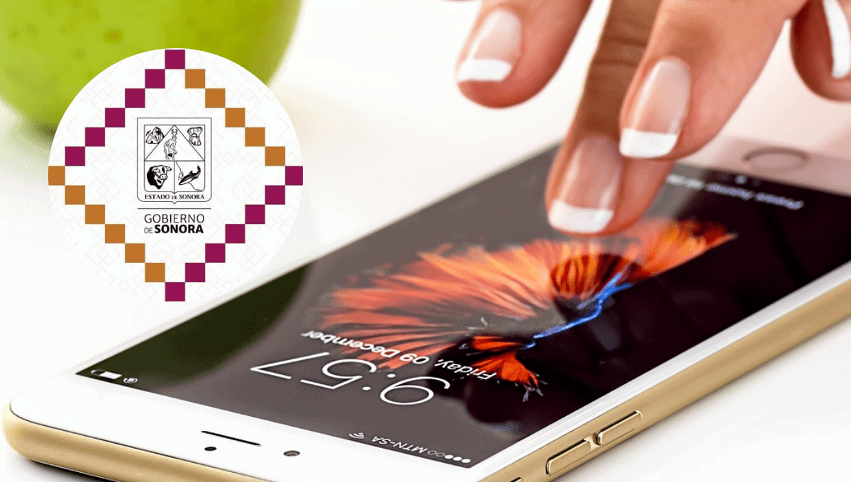 La app para denunciar delitos en Sonora de forma anónima, te decimos cómo usarla