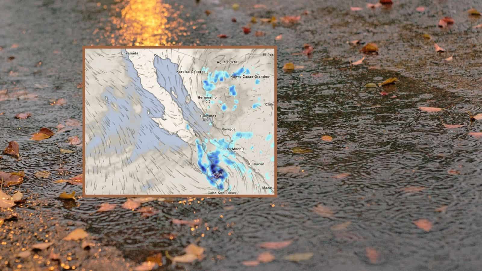 Clima en Hermosillo hoy 13 de septiembre; tormentas dispersas y ligero descenso de temperaturas