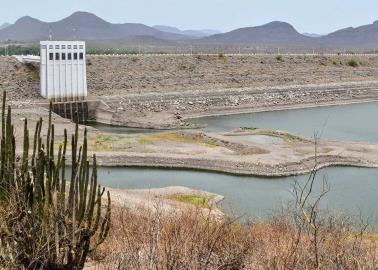 En riesgo 200 mil hectáreas en el VY